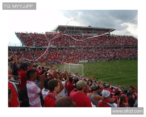 多伦多与急流的精彩对决揭示城市与自然的完美融合与碰撞